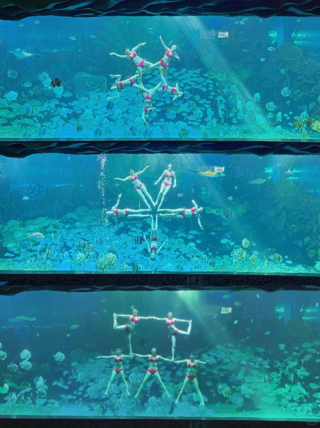 为了这扇窗，我特地去了趟徐州…