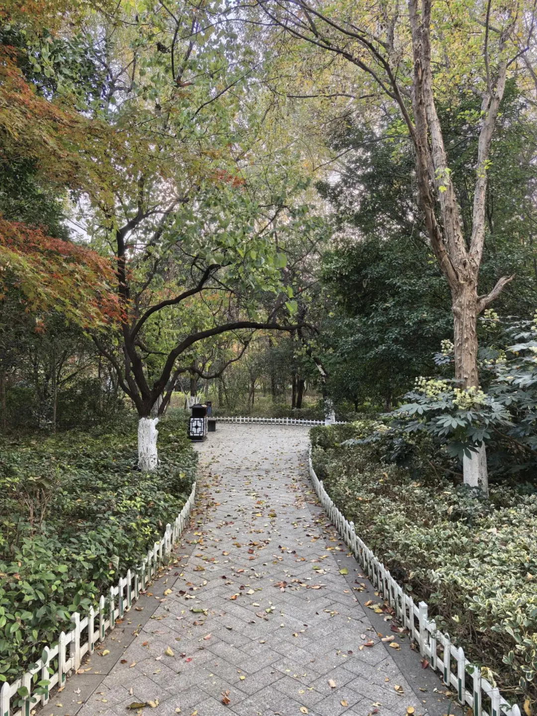 徐州云龙山北麓环线游4