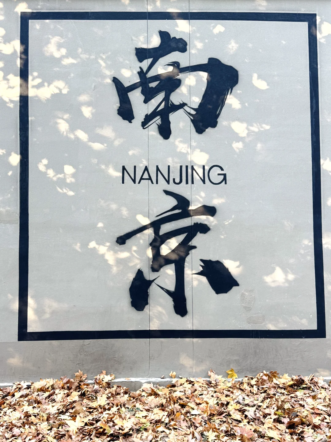 🍂南京网红墙满地梧桐落叶太有氛围感了吧！