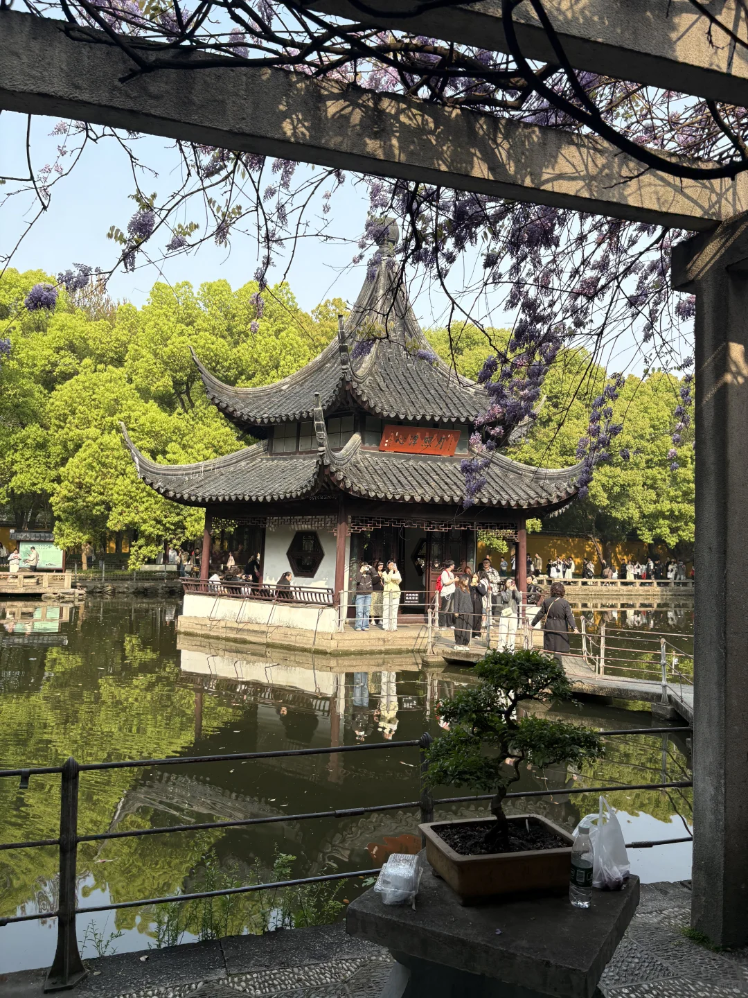 🔥3天2晚暴走江浙沪3城｜南京➡苏州➡上海夜色