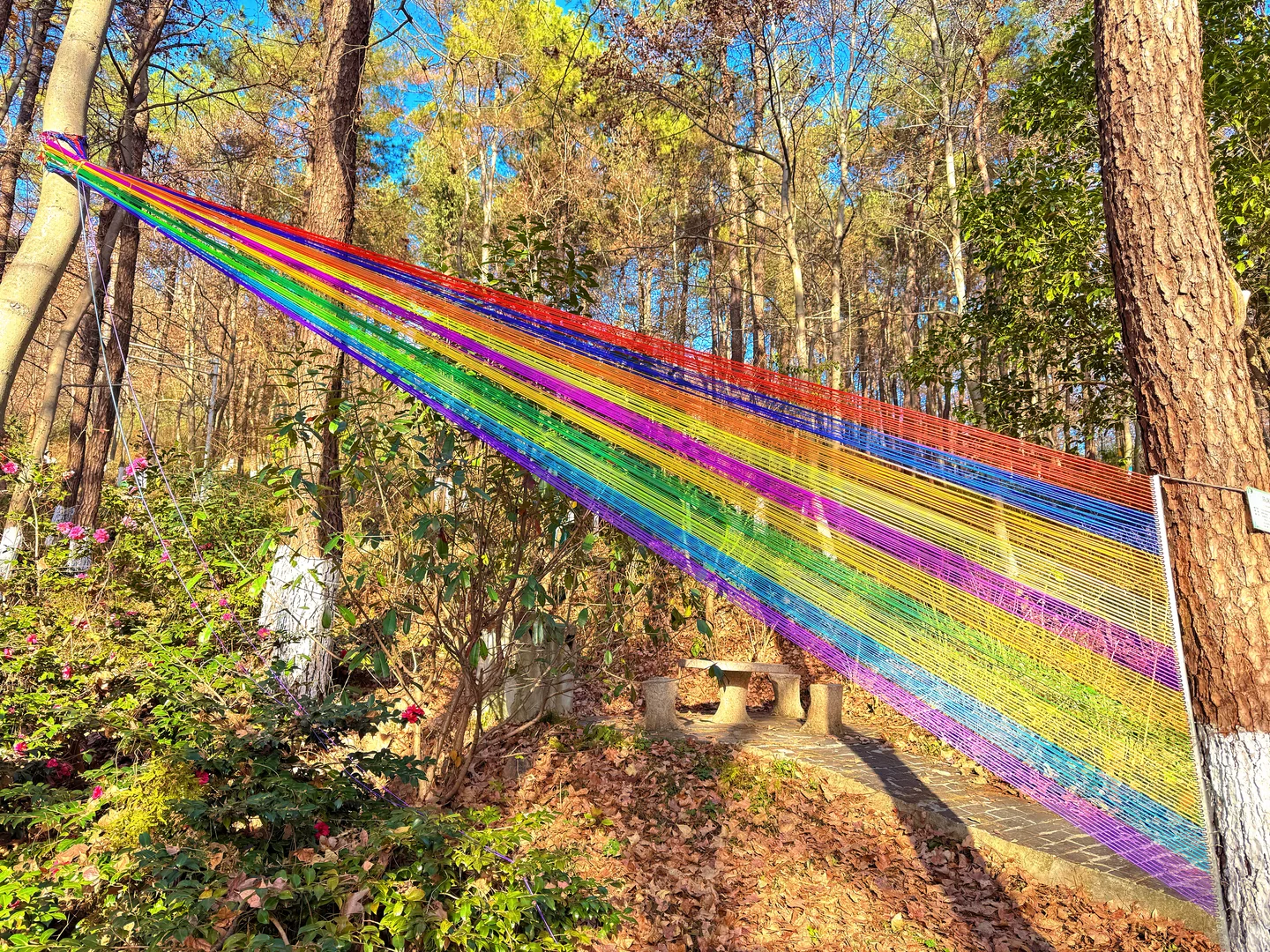 南京老山森林公园