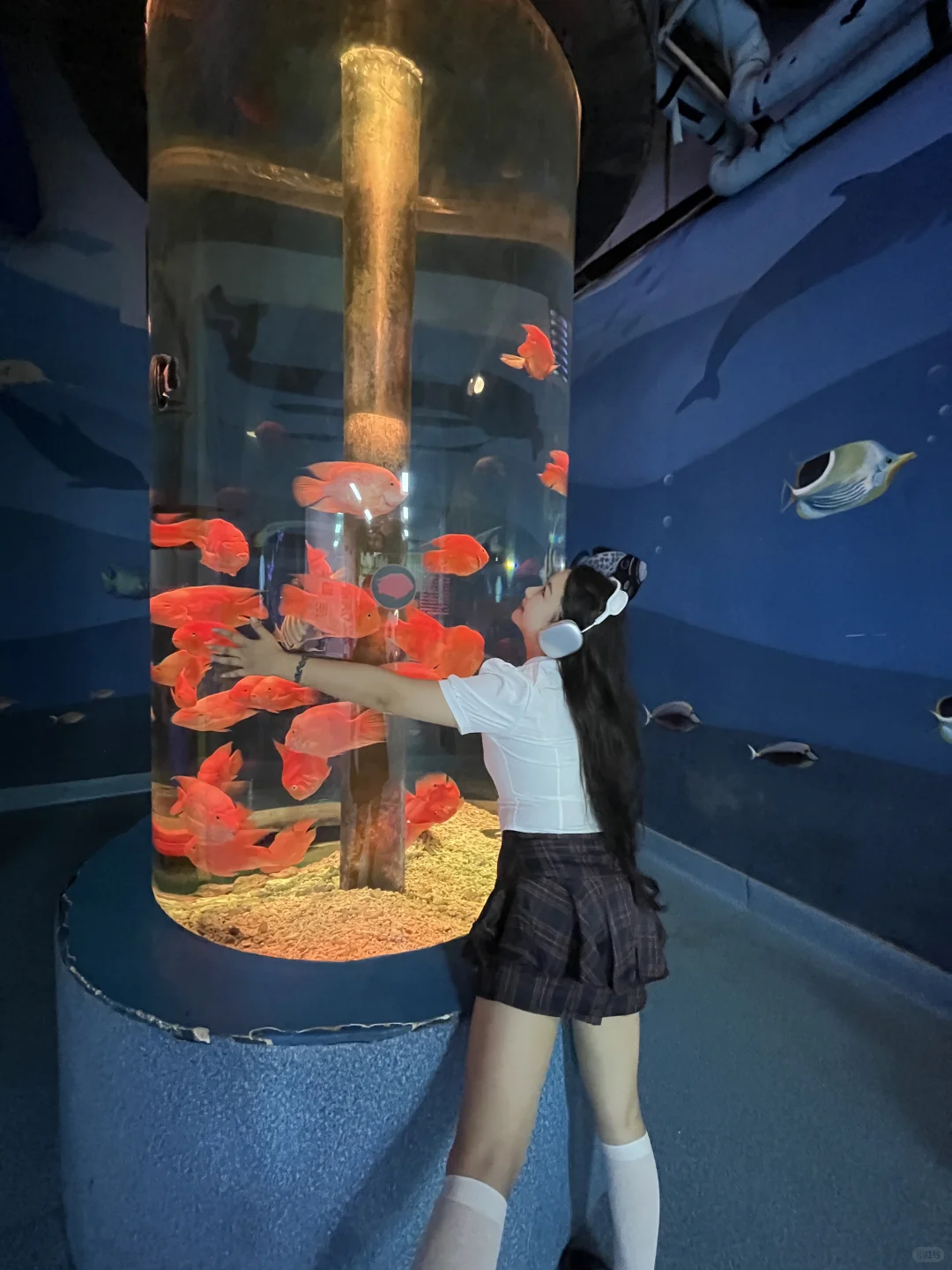 徐州 海洋馆 巨出片