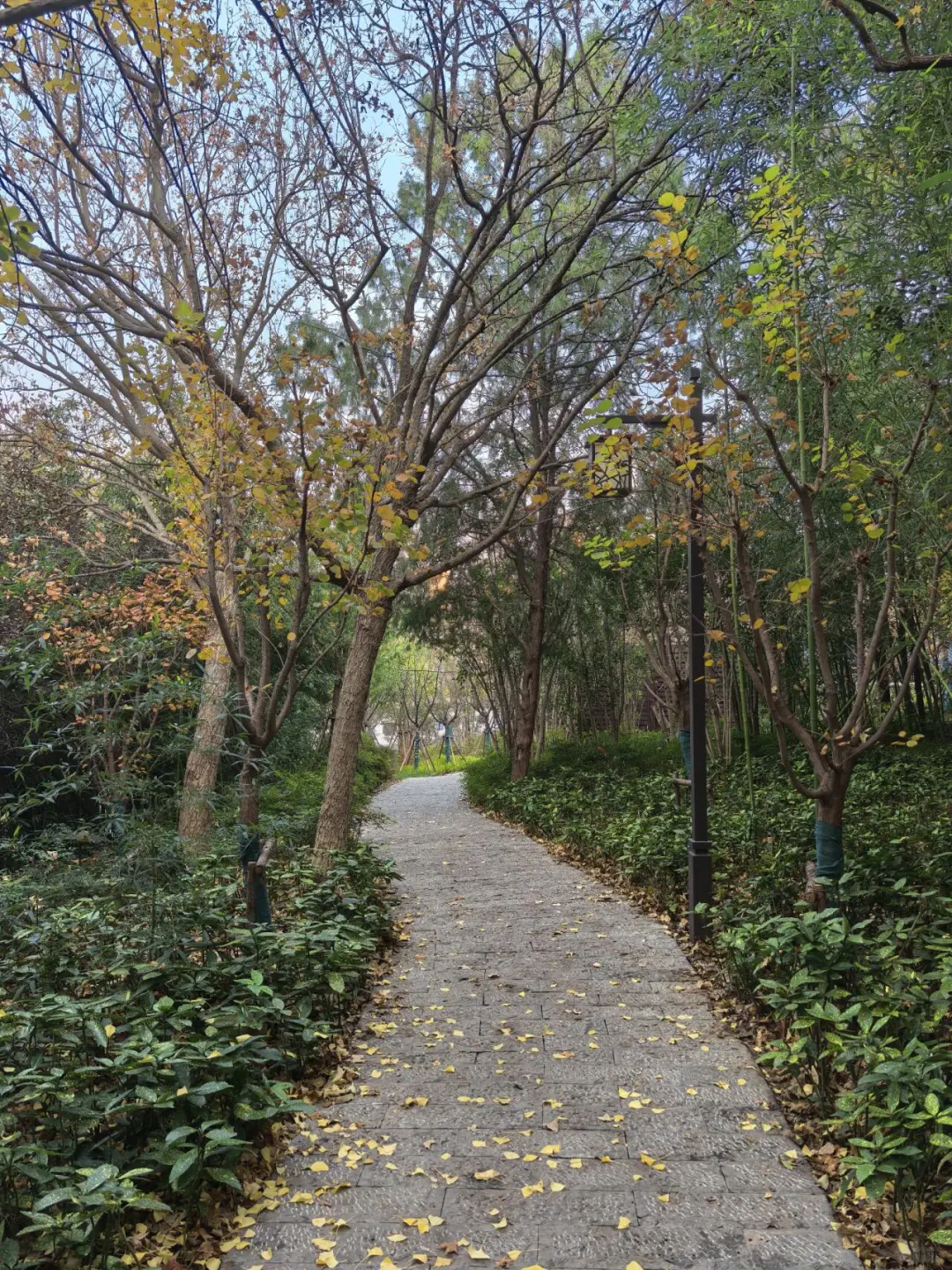 徐州云龙山北麓环线游4