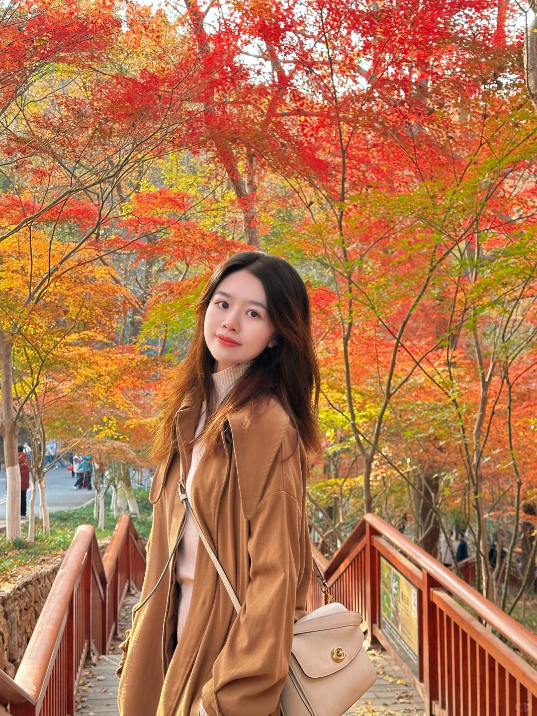 12月实况！南京的深秋真的美疯了！！