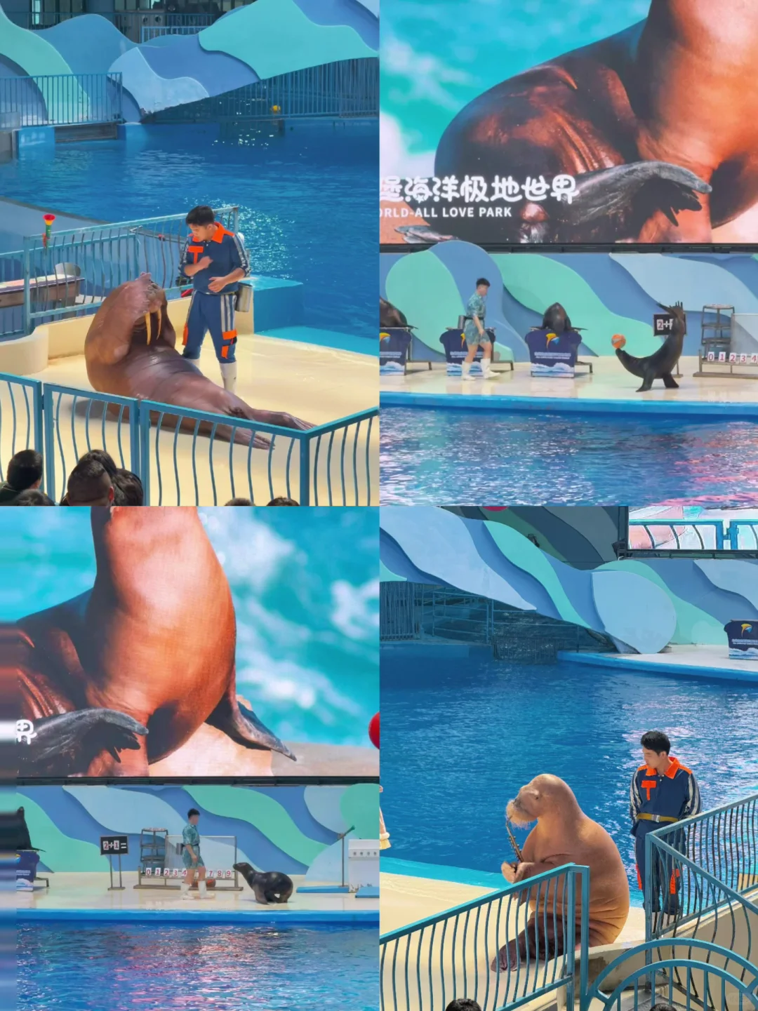 为了这扇窗，我特地去了趟徐州…