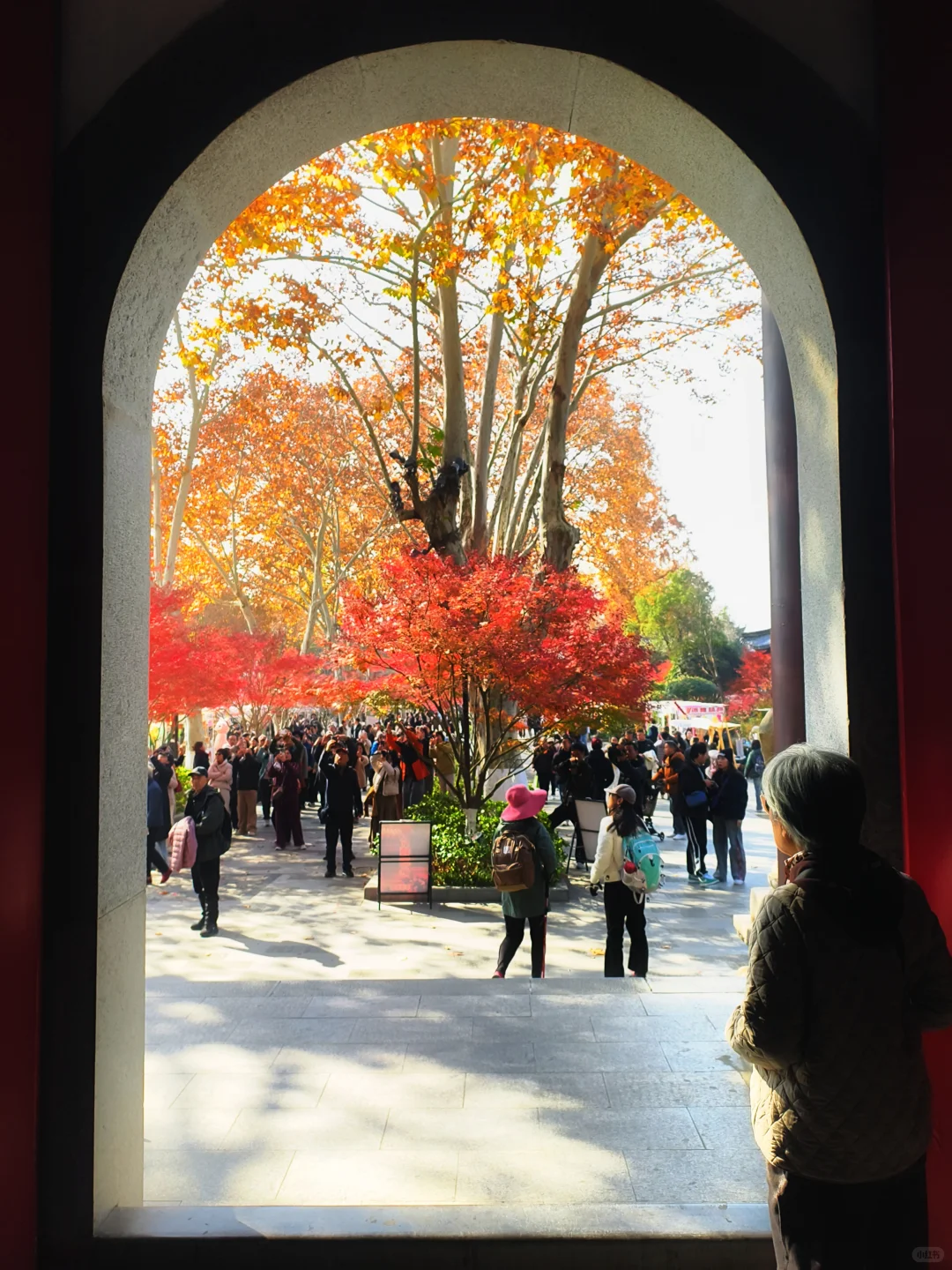 原来南京真的会让人有戒断反应！