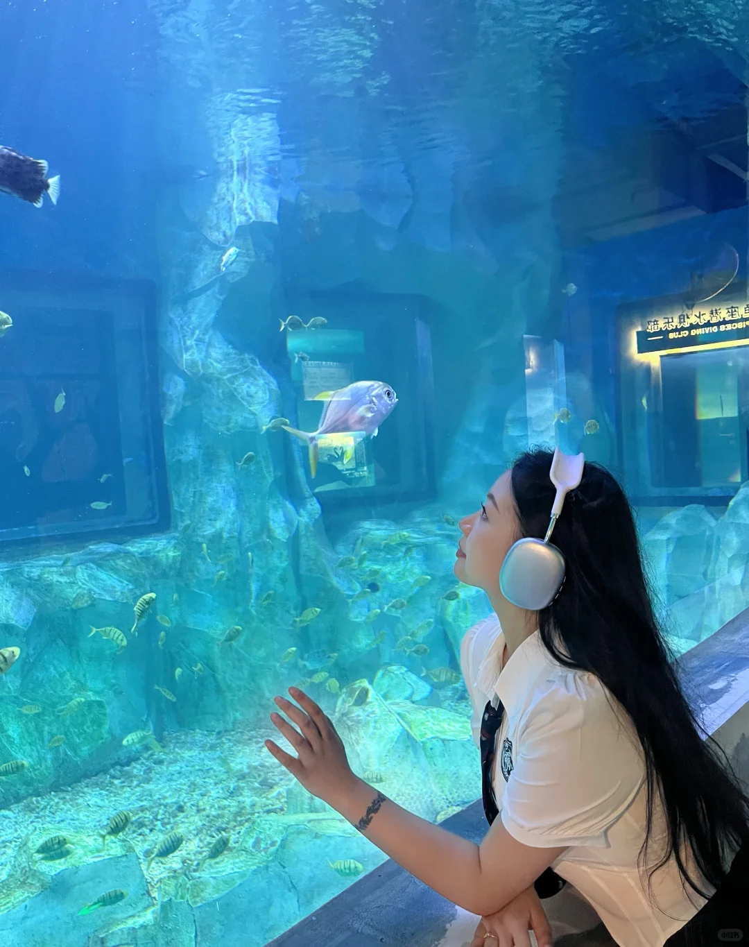 徐州 海洋馆 巨出片