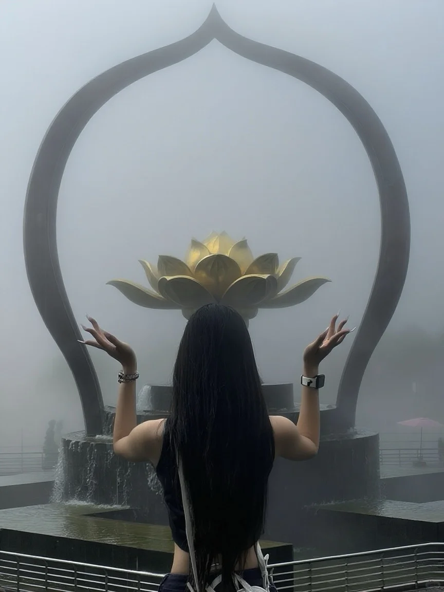 徐州宝莲寺推荐大雾天气去拍 太牛了！！！