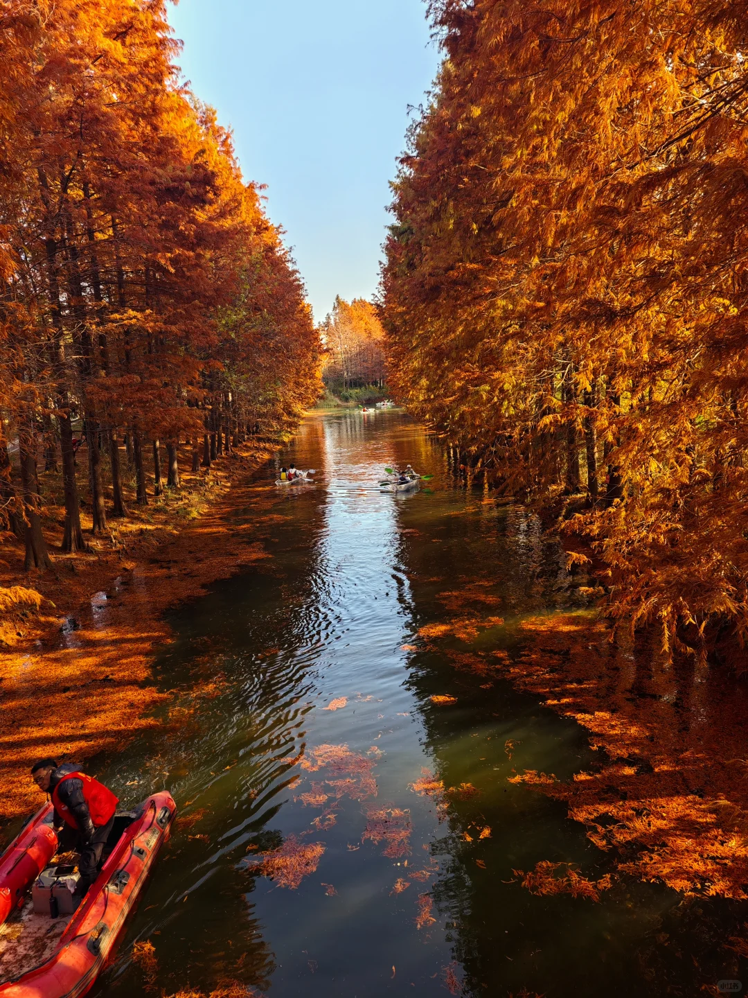 12.14周末逃离上海之苏州虎丘湿地公园