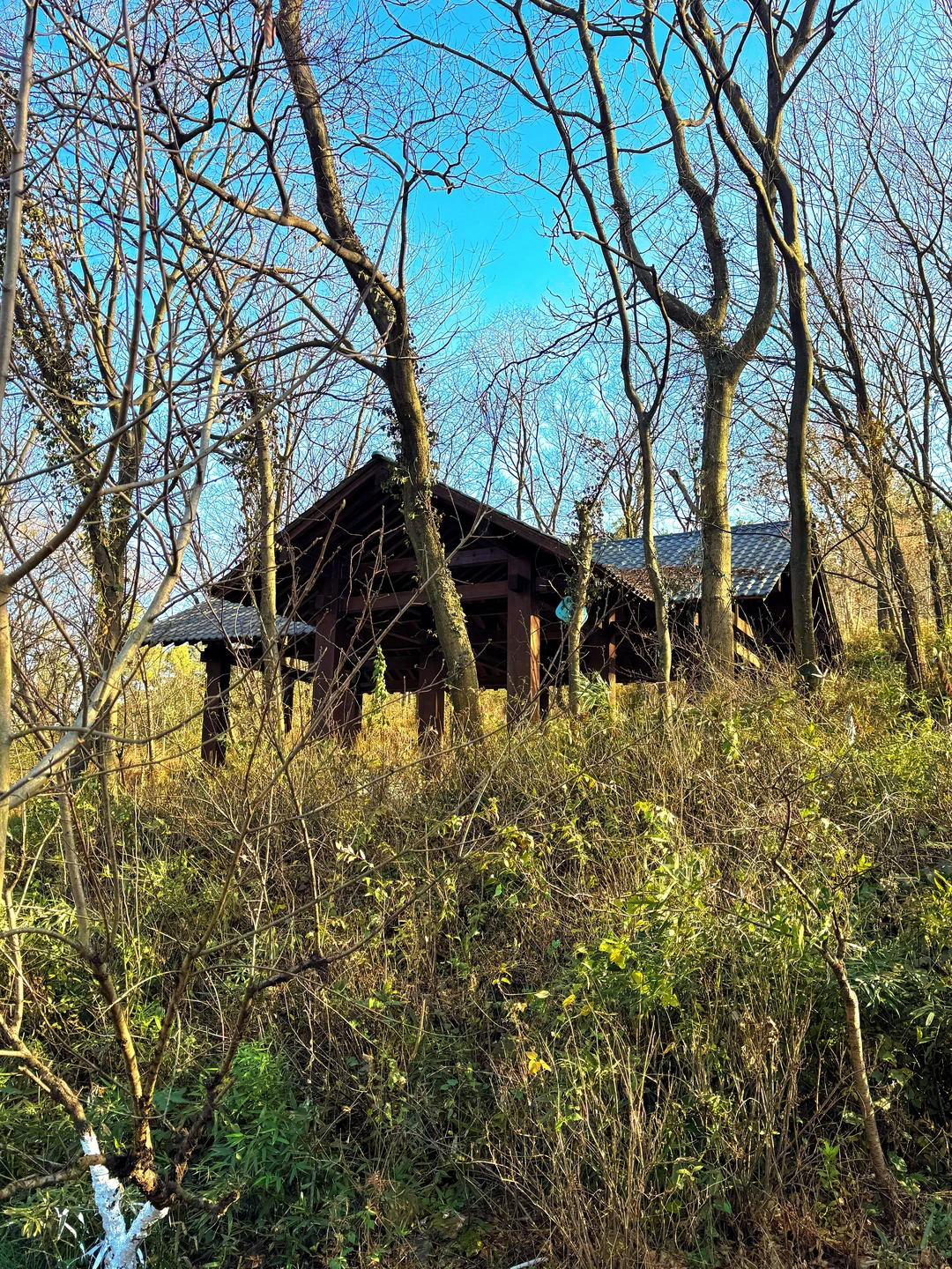 南京老山森林公园