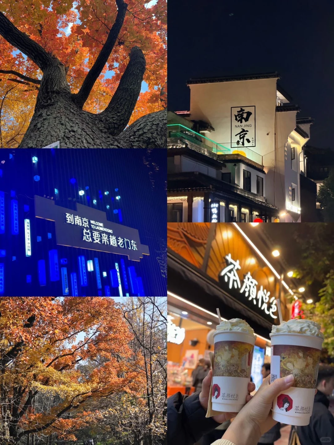 南京庆三天已回。。（个人真实感受）