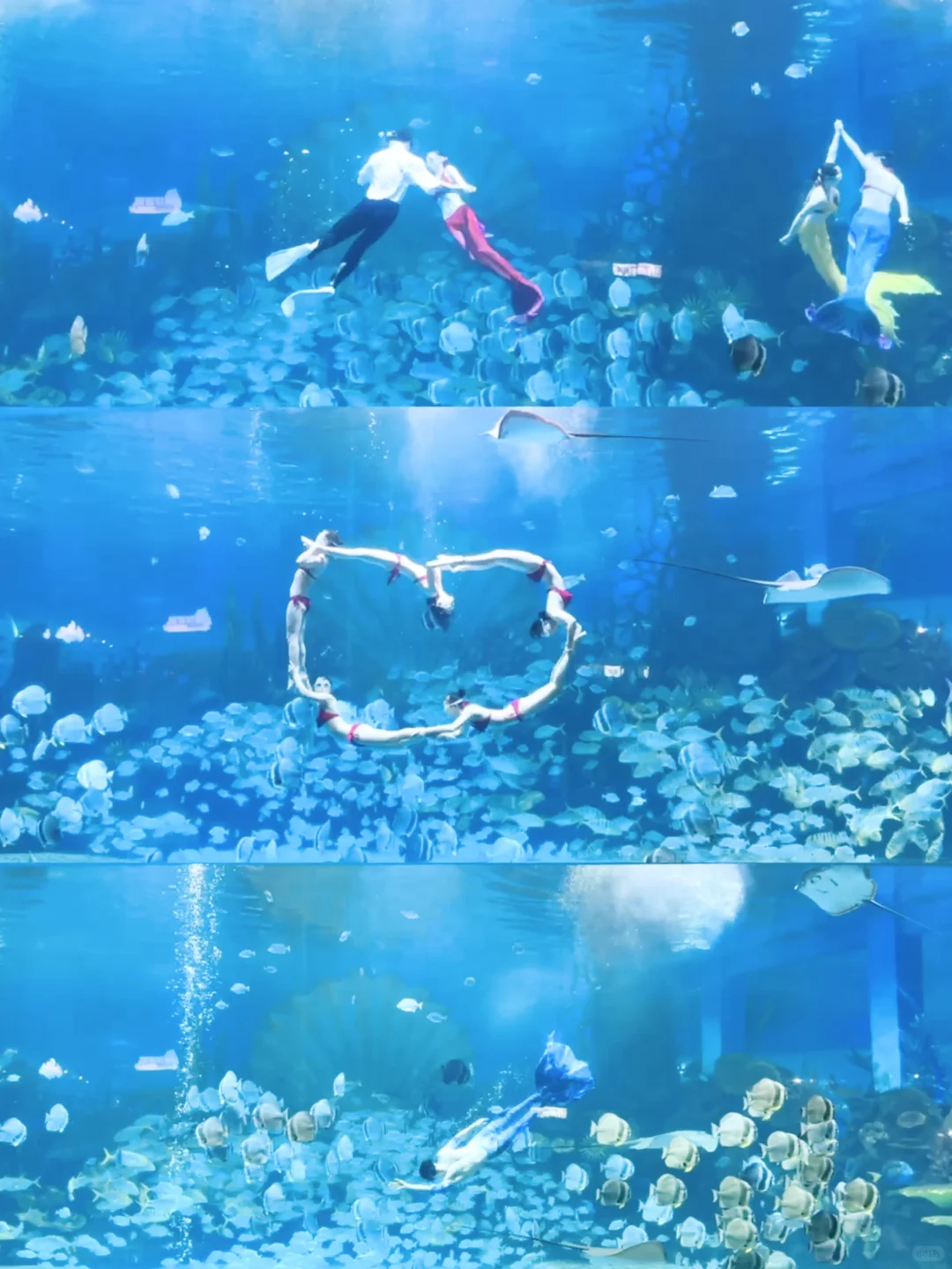 南京1.5h🚄徐州这个海底世界🐟🫧……封神了！！