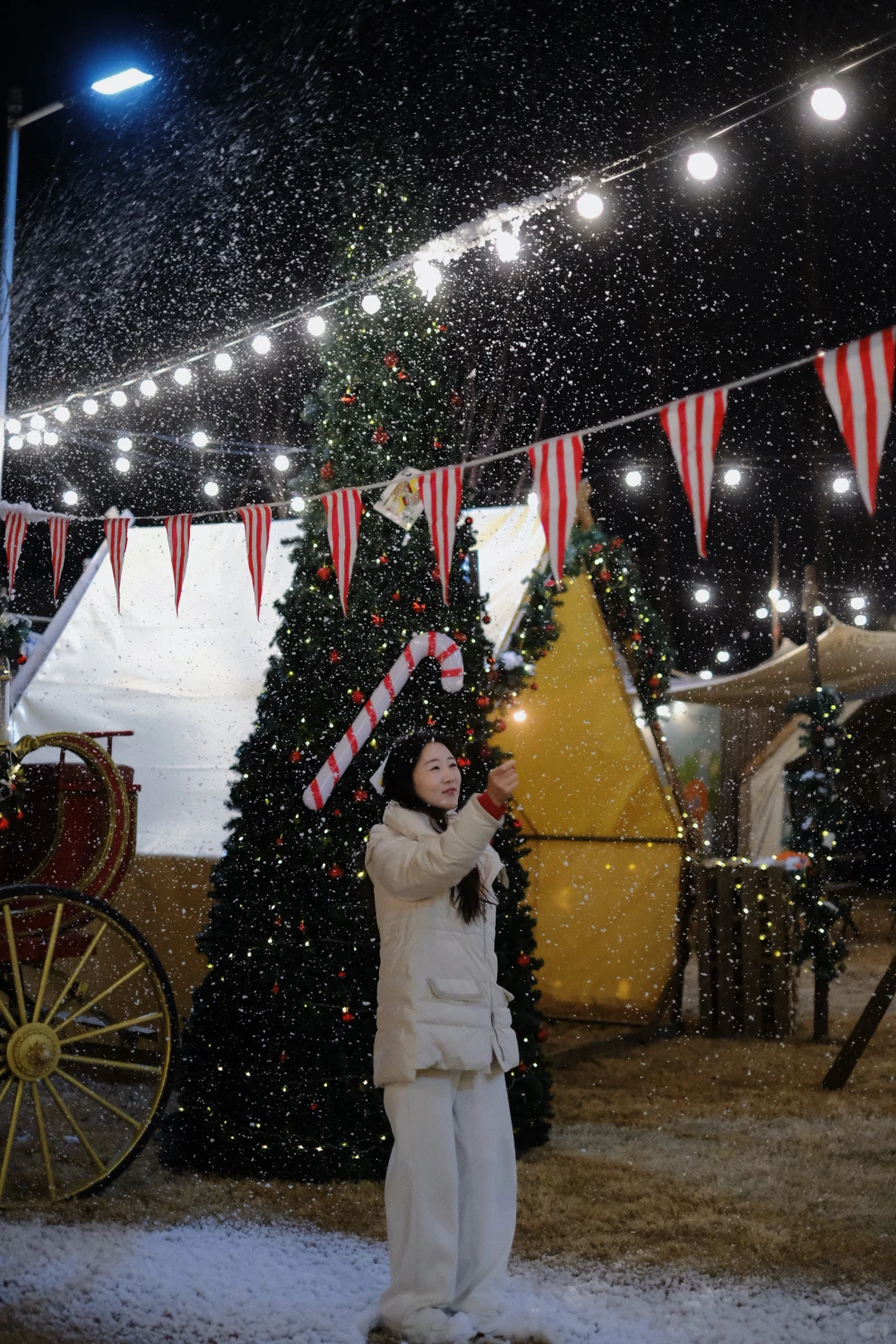 徐州跨年必冲🔥法式花园烟花篝火狂欢