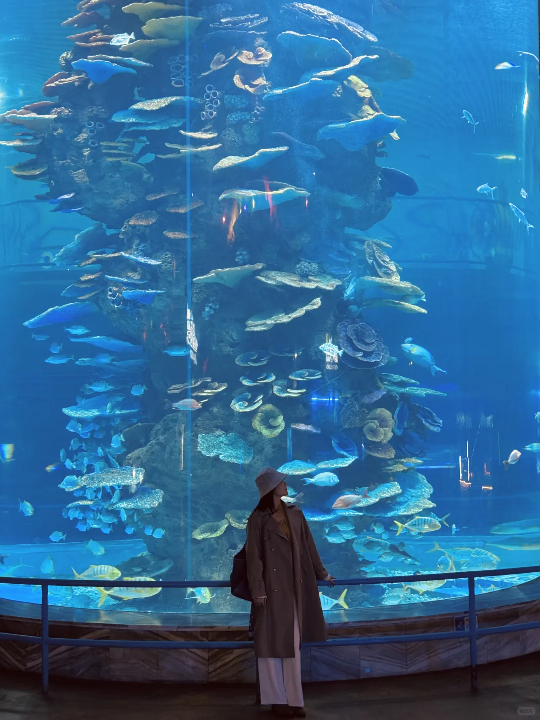南京1.5h🚄徐州这个海底世界🐟🫧……封神了！！