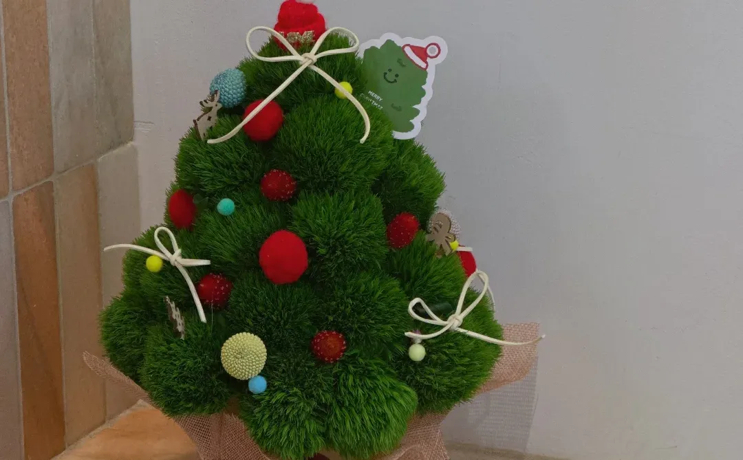 可可爱爱的圣诞树🎄✨｜南京同城配送