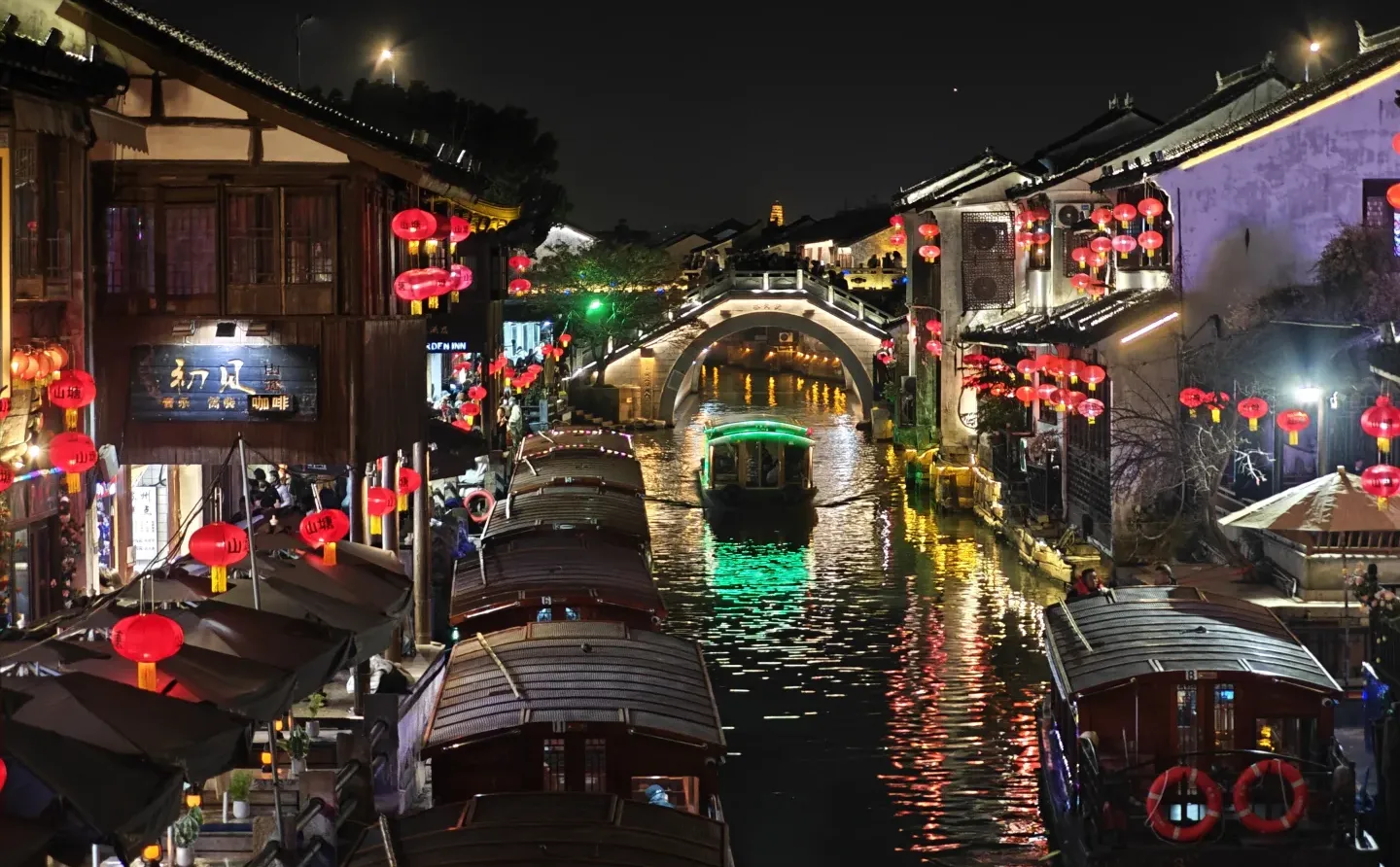 [ 南京]总统府的猫咪向你点了个赞