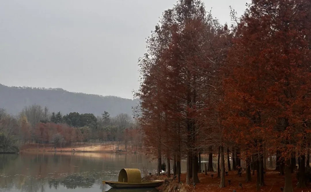 12.23 南京明孝陵
