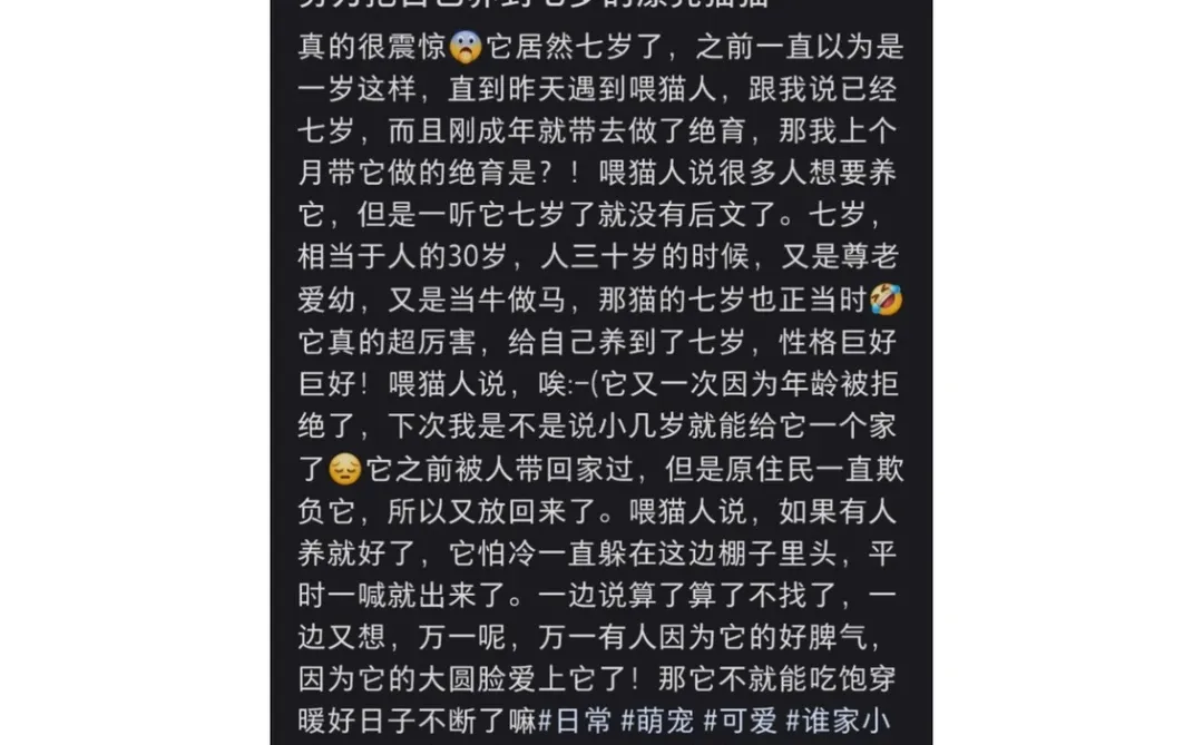 推南京七岁猫猫更新