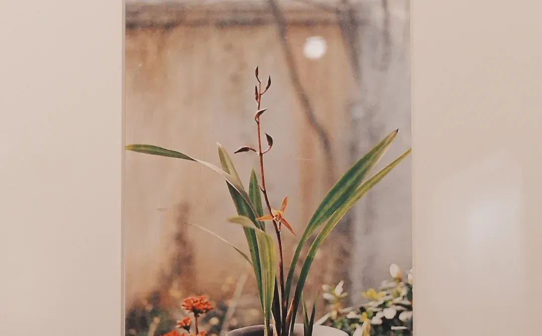 南京博物院|旅游参观路线及吃瓜碎碎念