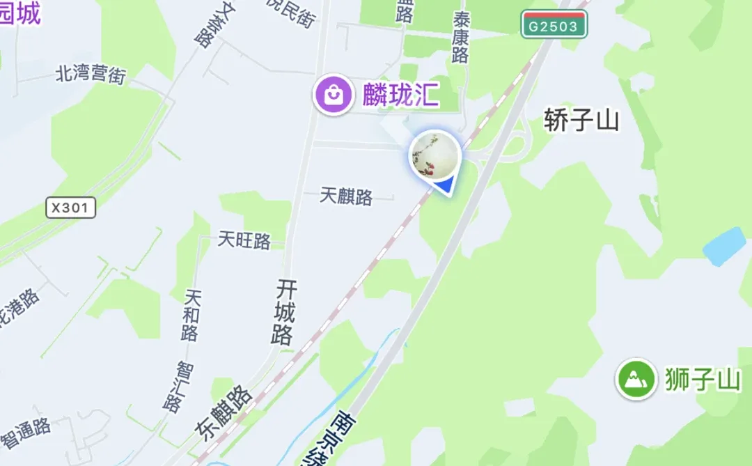 南京的朋友你们在哪