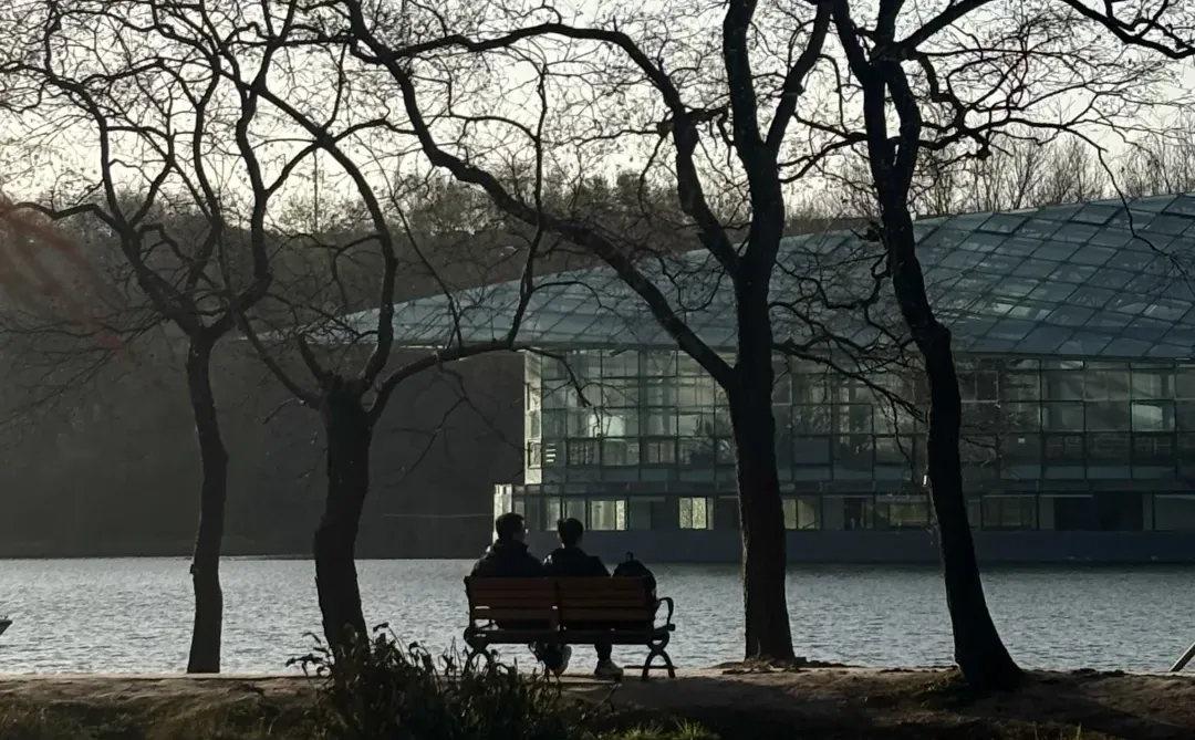 12月的南京真的很美🪹🪾