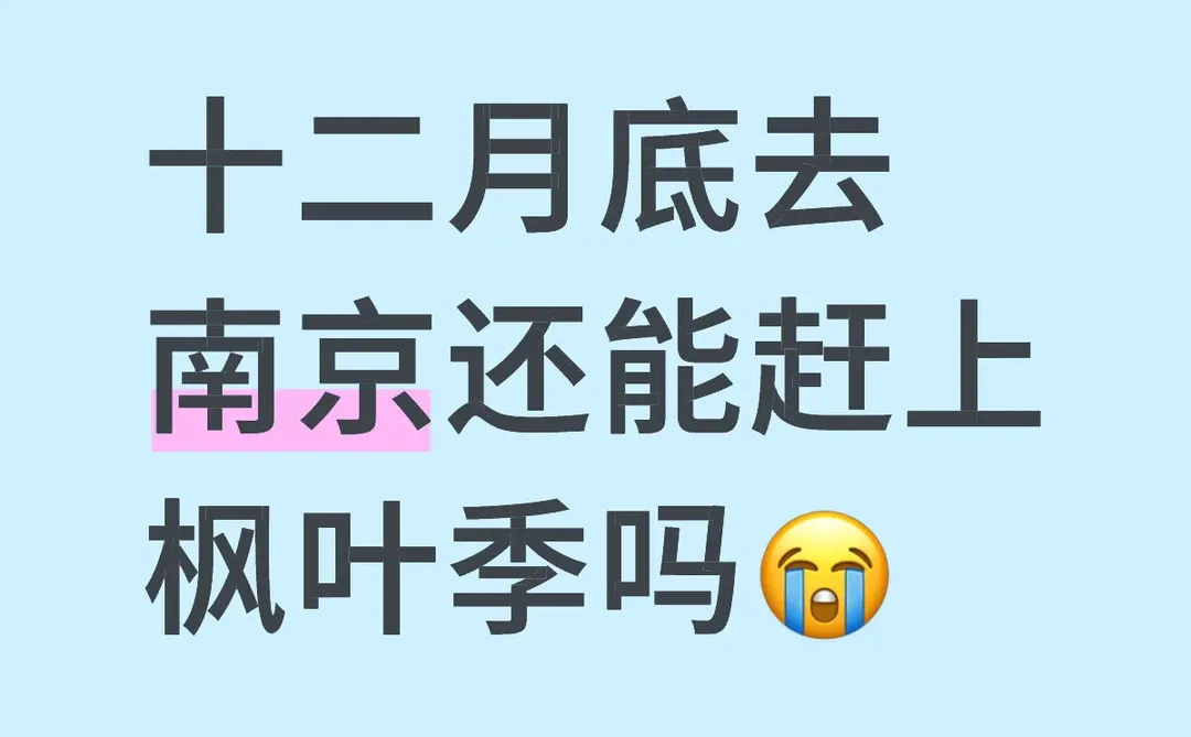 十二月底去南京还能赶上枫叶季吗？