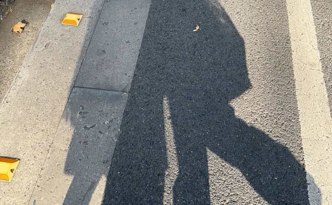 在南京咔咔一顿拍🍂