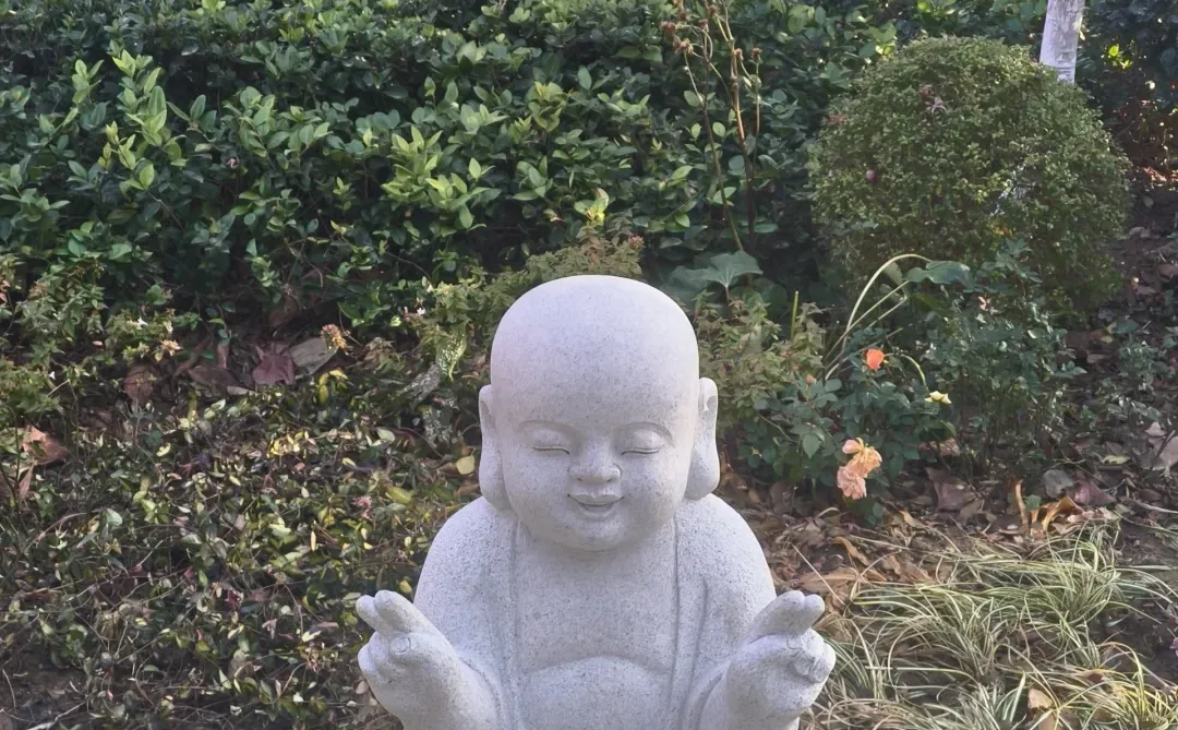 徐州公益｜宝莲寺做义工🏯