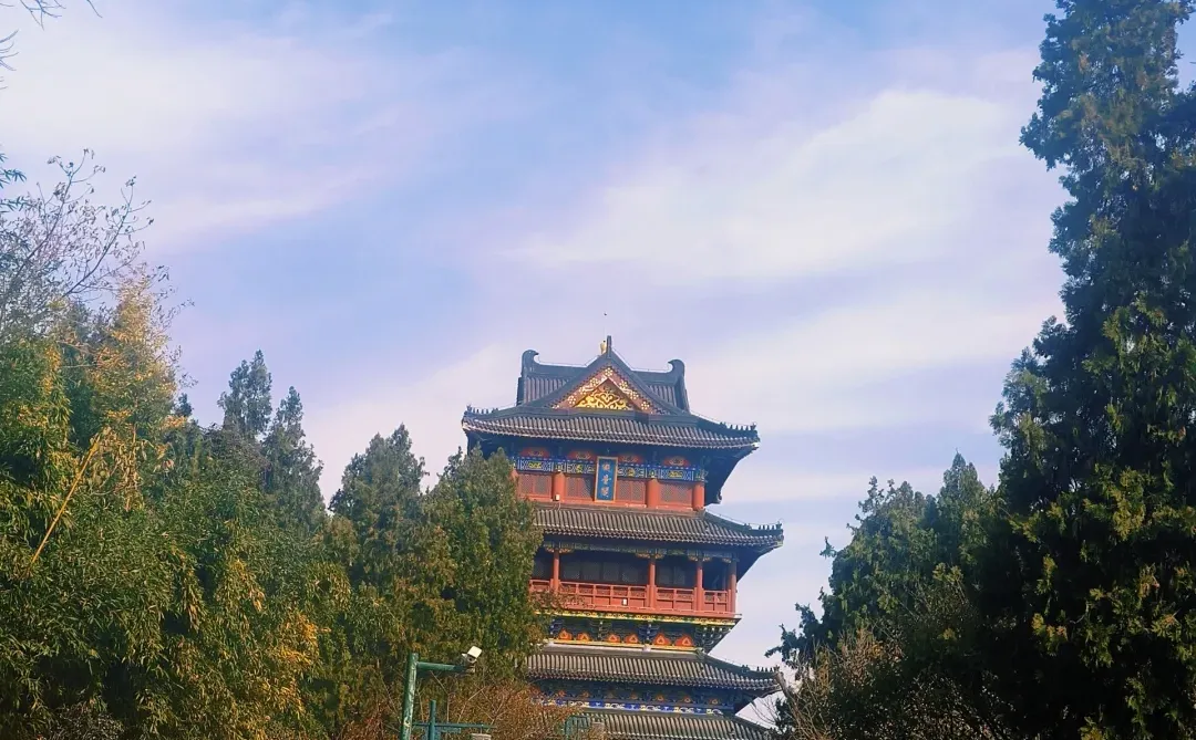 徐州公益｜🎋竹林寺做义工🎍