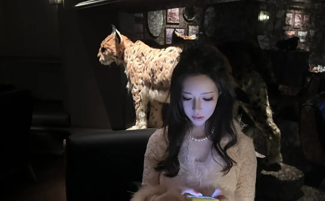 徐州来陪我过圣诞