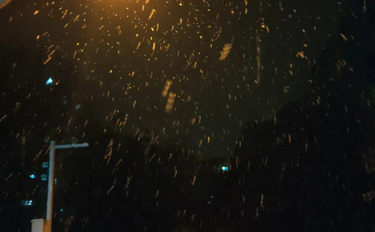 昨晚下雪的徐州美爆了❄️