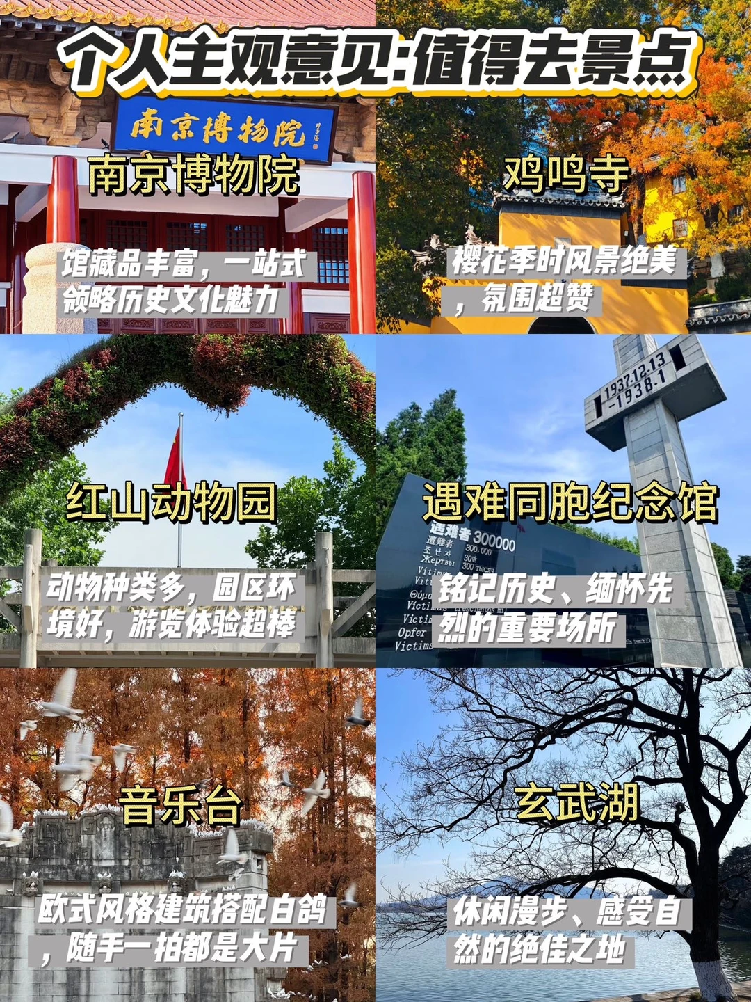 📍南京刚回，后悔没做攻略就来了…