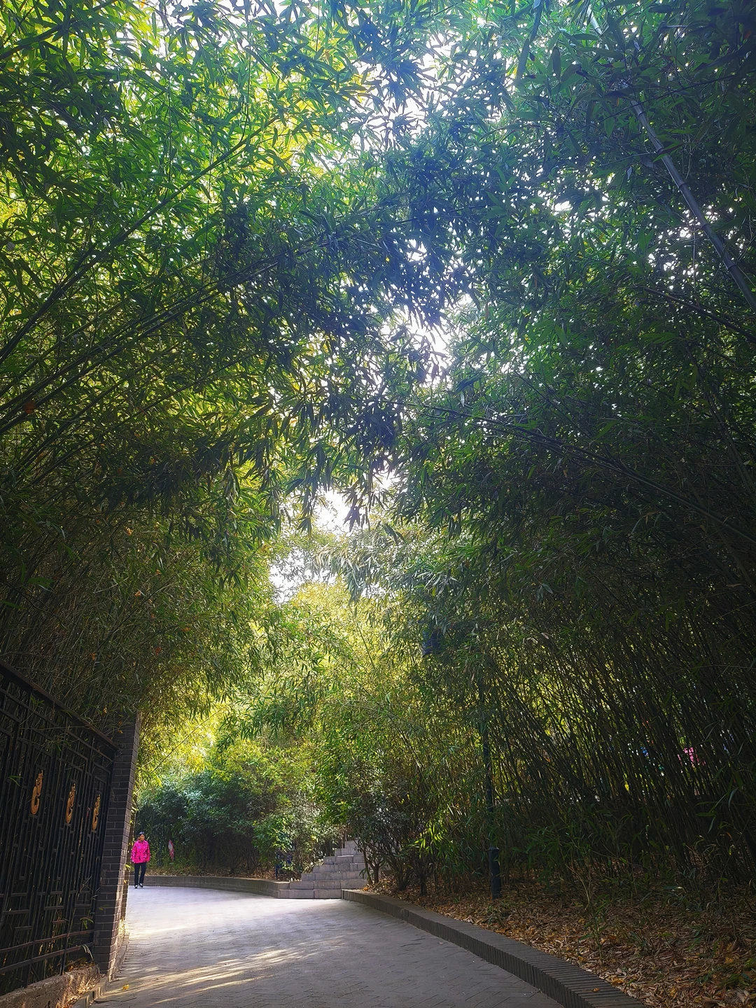 徐州公益｜🎋竹林寺做义工🎍