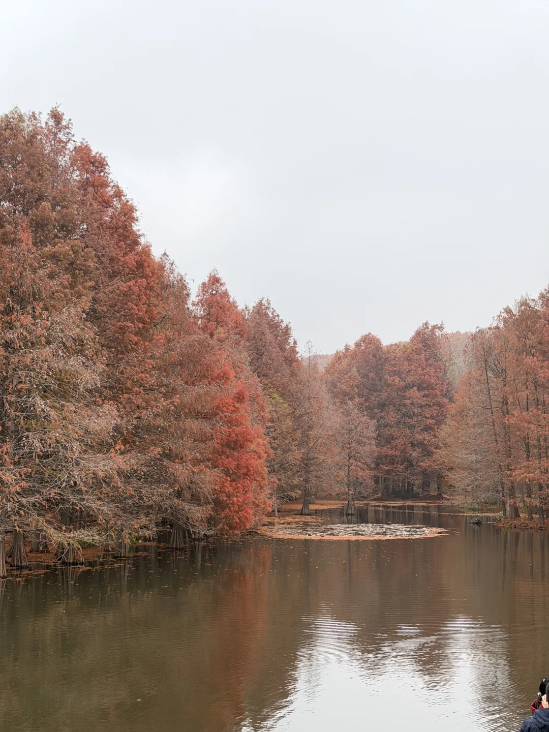 秋季一过真的别来南京了