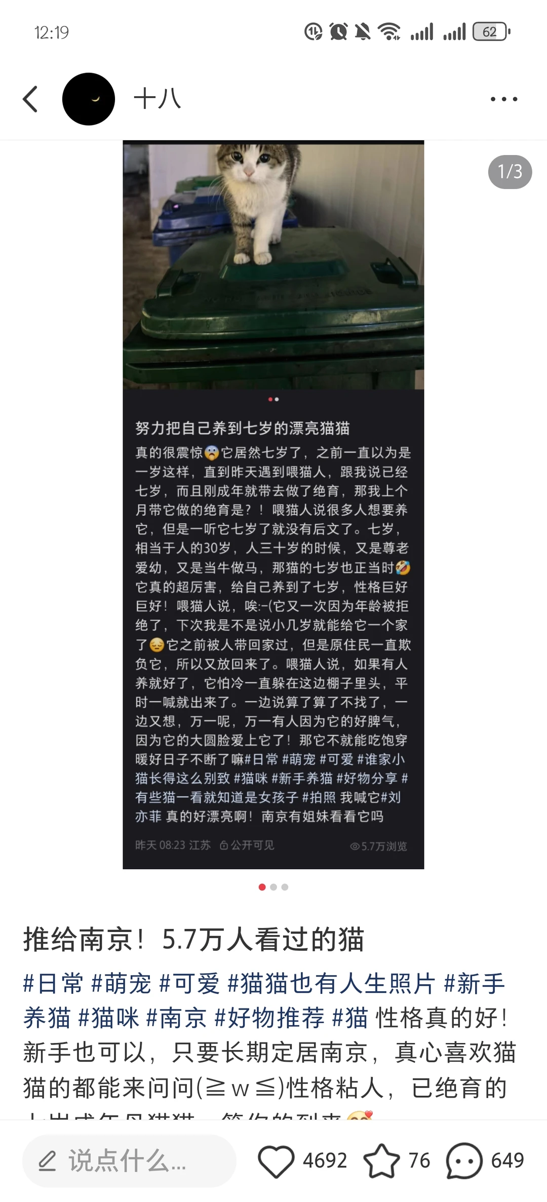 推南京七岁猫猫更新