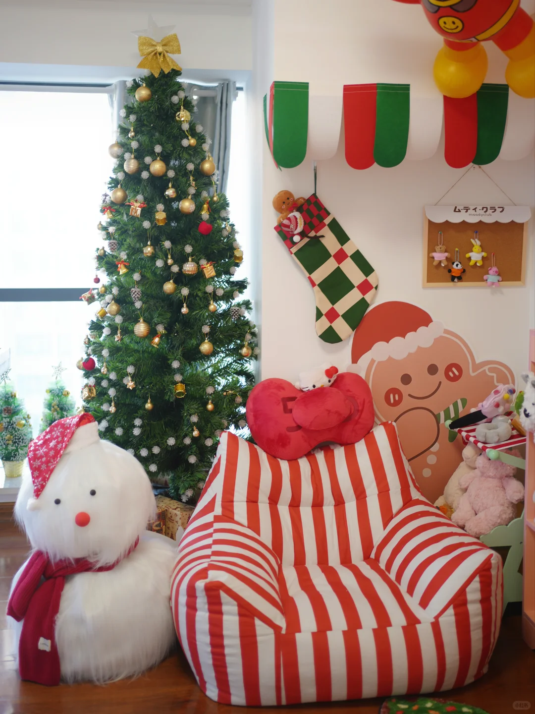 徐州拼豆豆 | 早鸟价已上新~