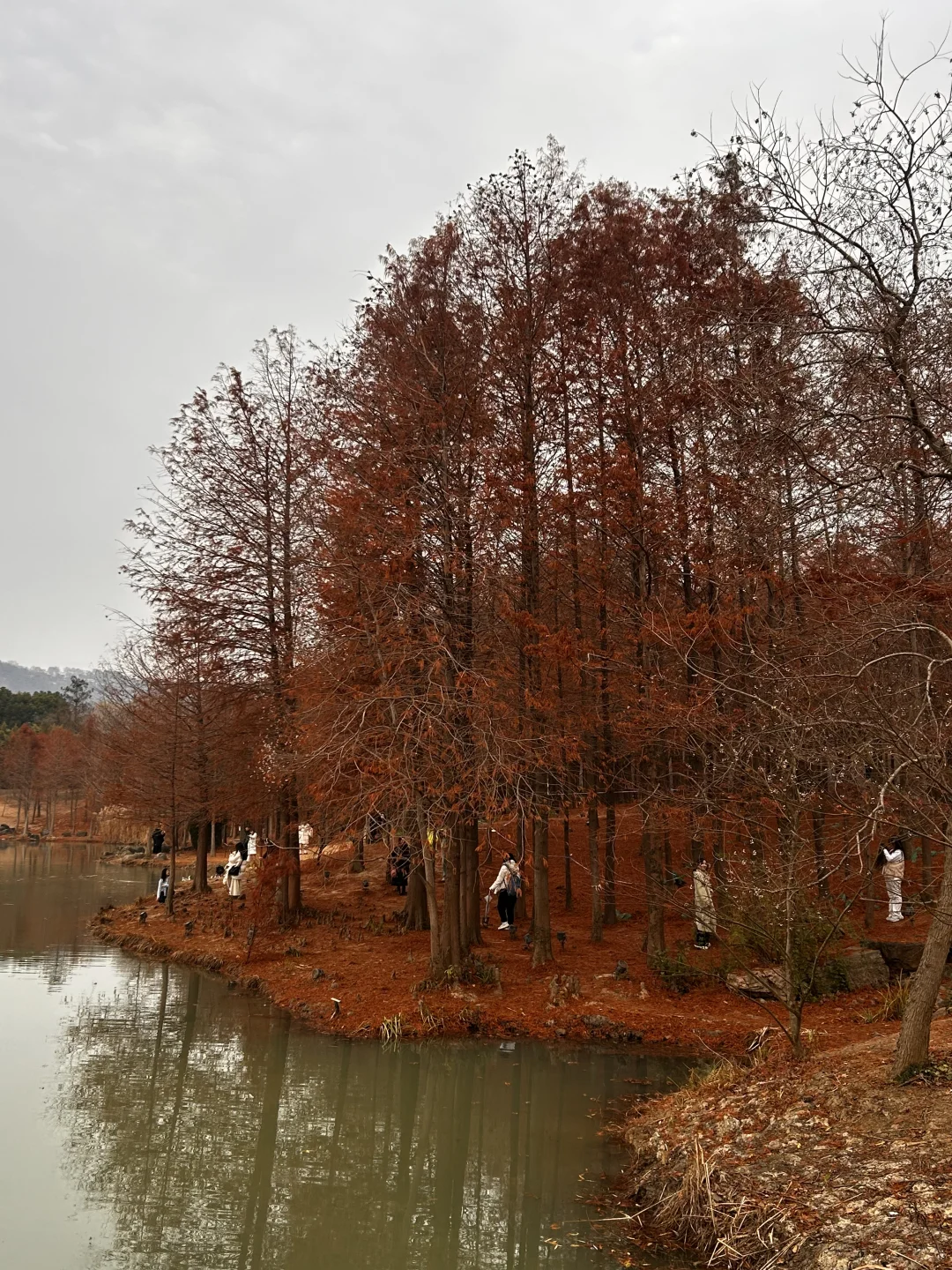 12.23 南京明孝陵