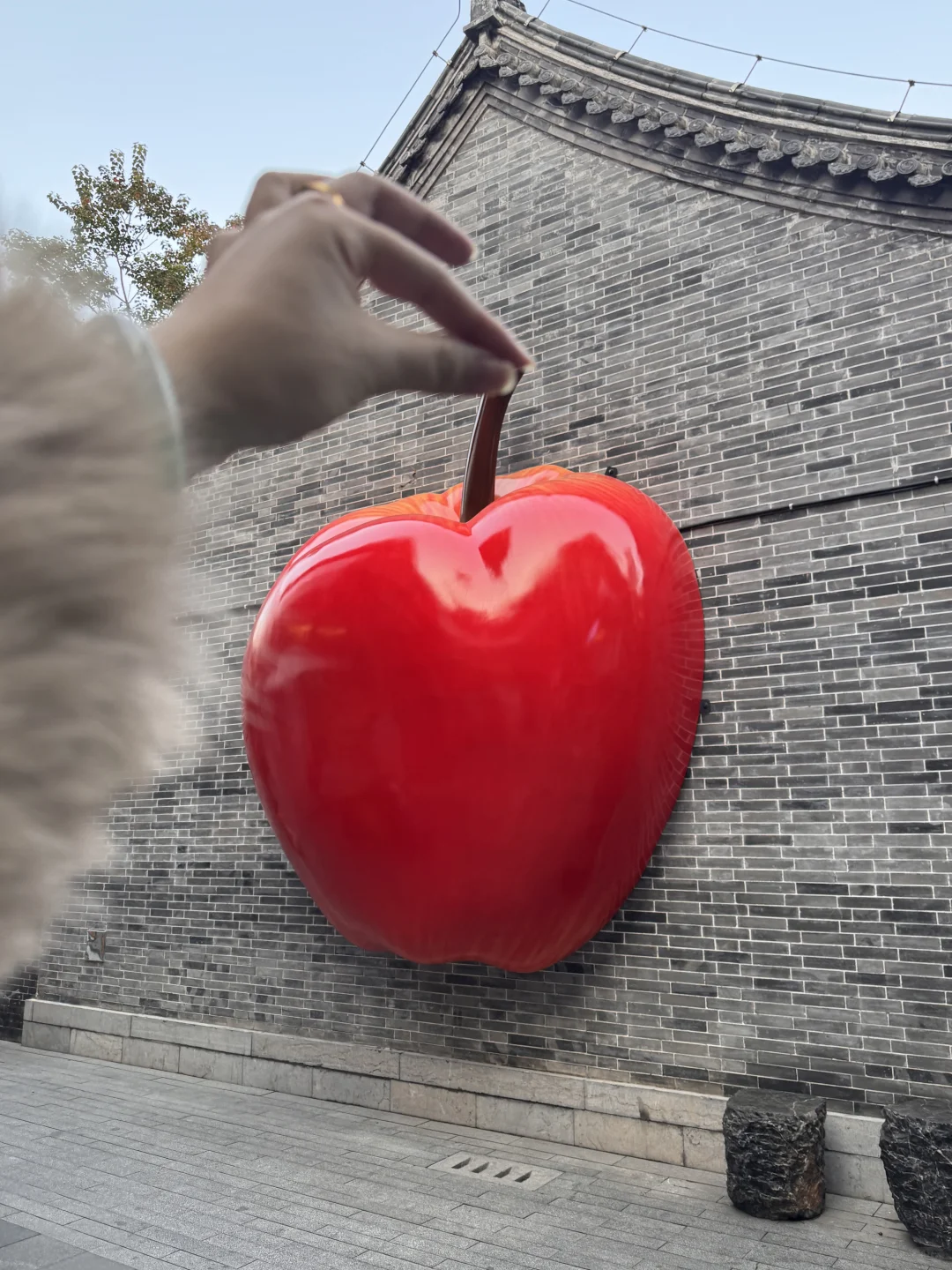 在徐州 文庙惊现大🍎 太好拍了！快来打卡！
