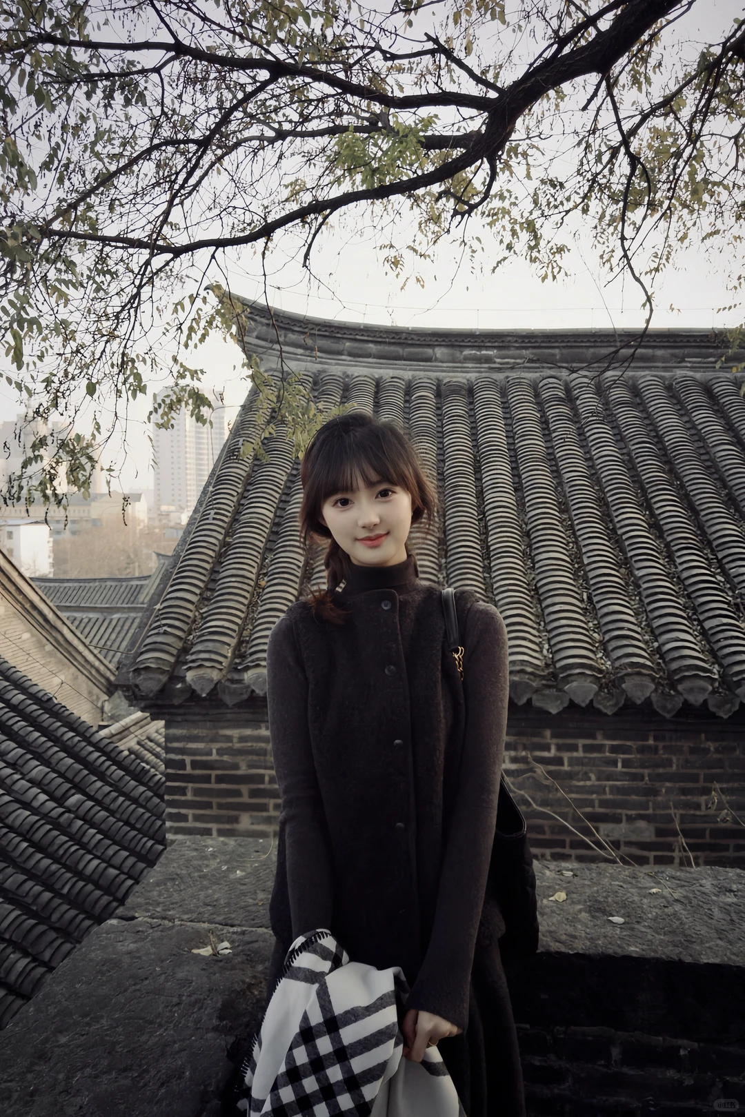 属于徐州自己的北平🍂