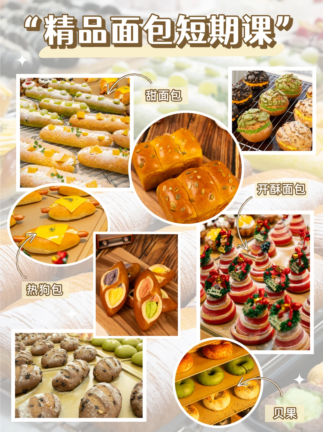 徐州零基础学烘焙的女生看过来！别乱找了~