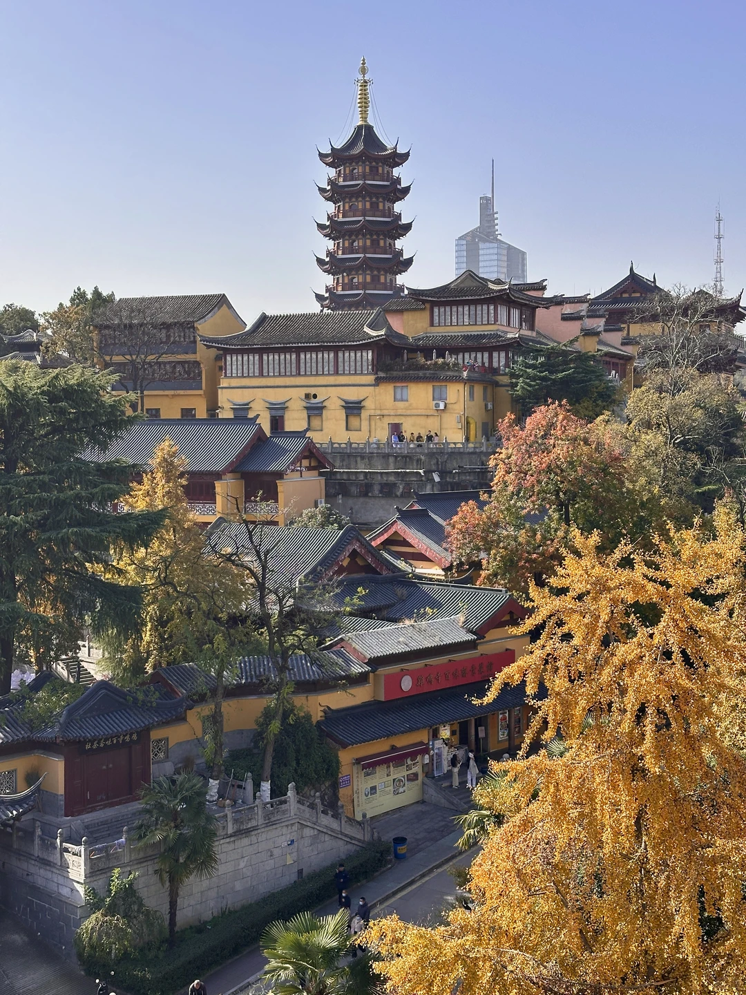 去完这6个地方！！！再离开秋冬的南京𓍊🌰🐿️