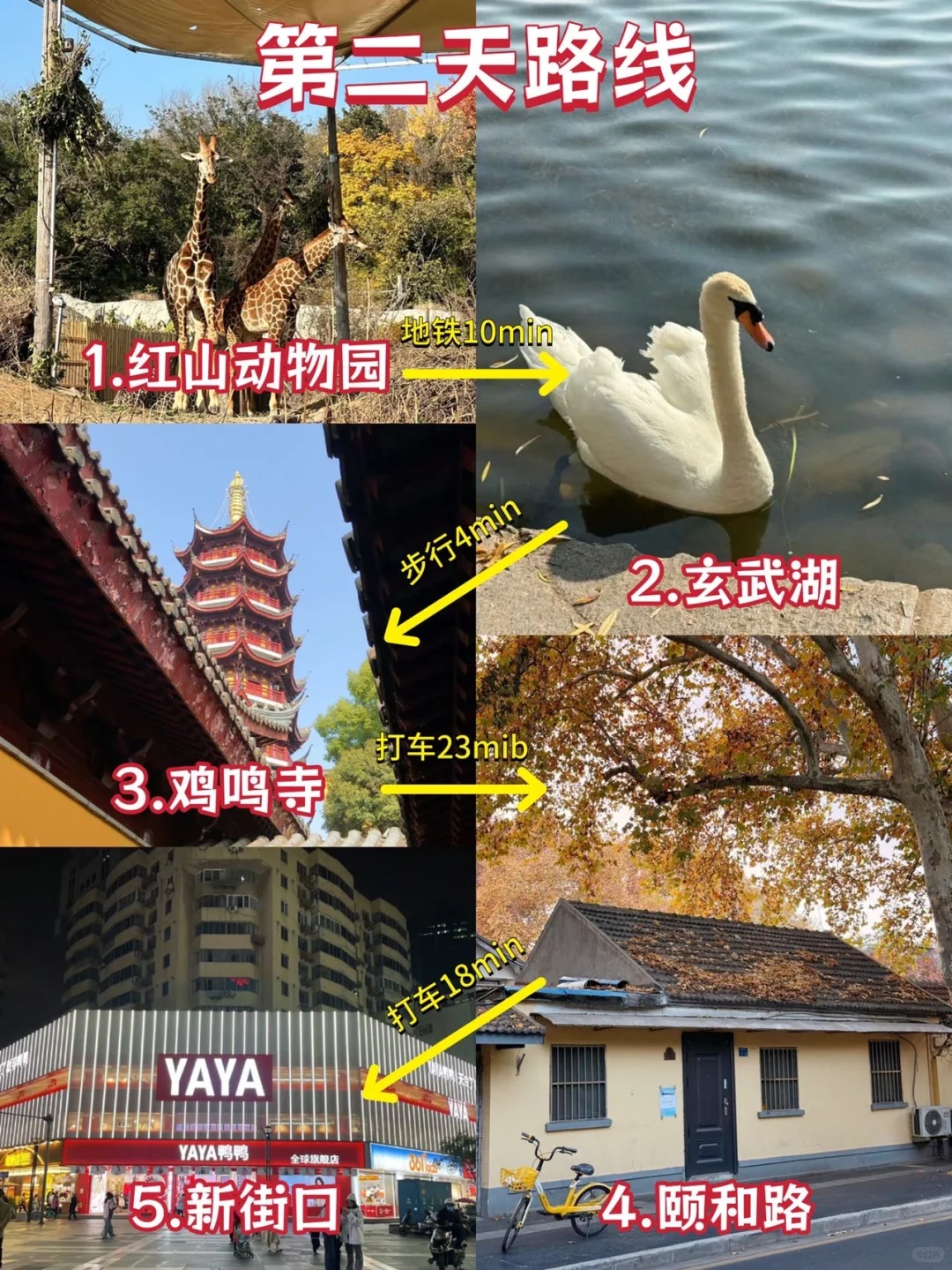 南京庆三天已回。。（个人真实感受）