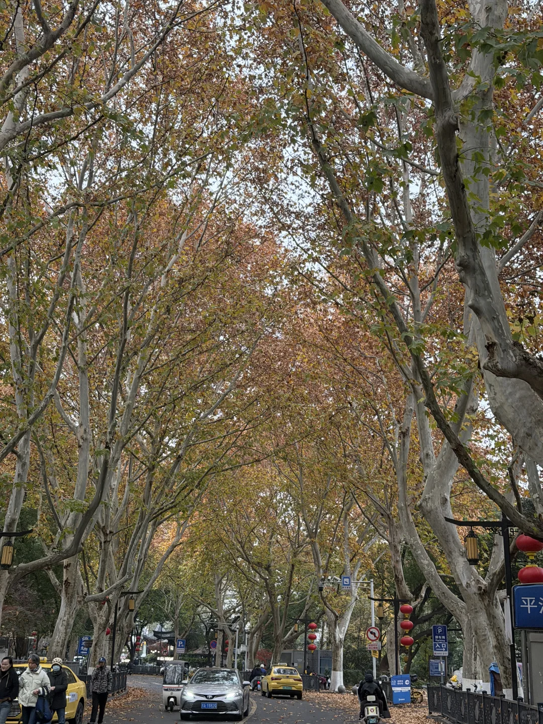 秋季一过真的别来南京了