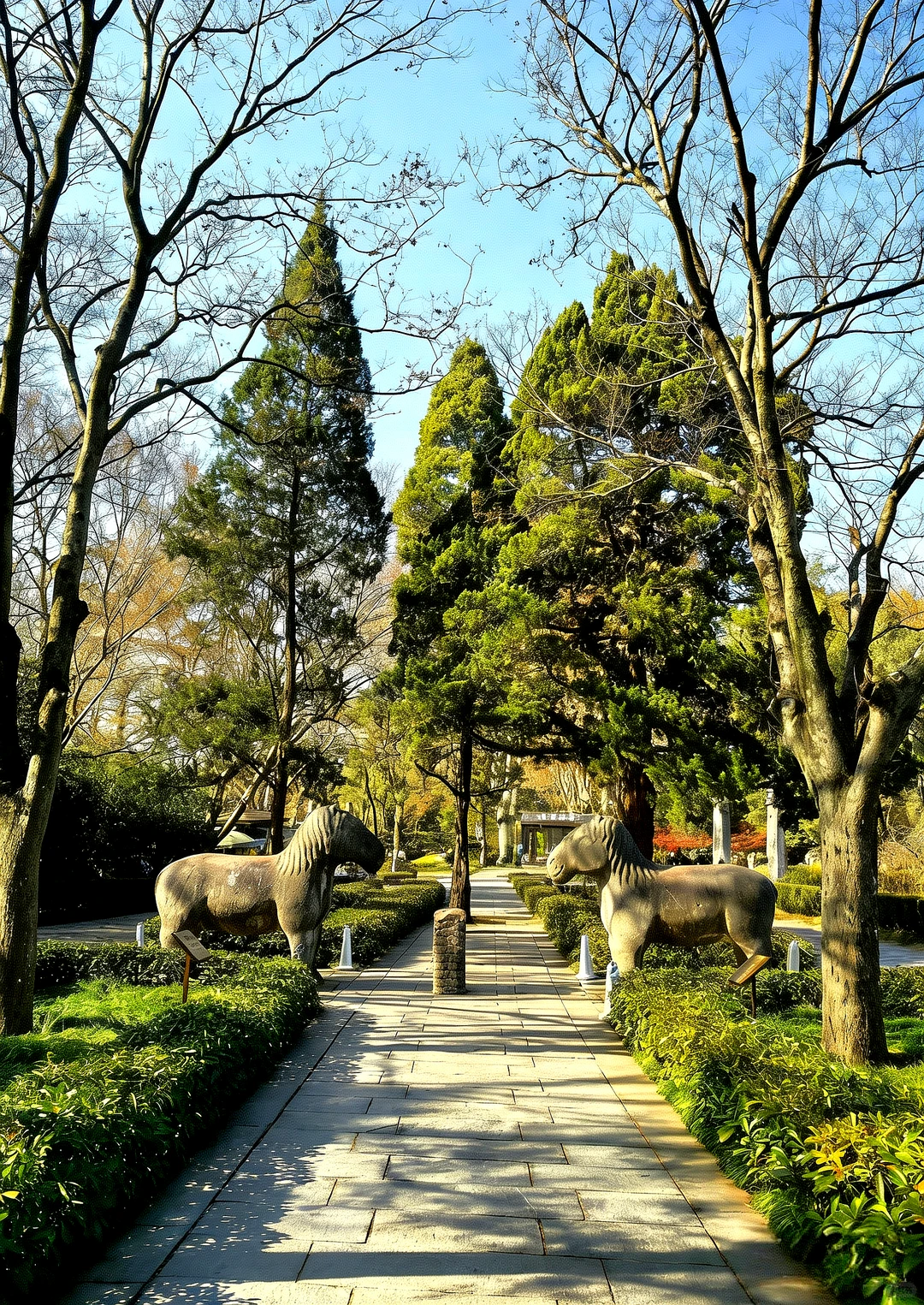 冬季的南京🍁好美