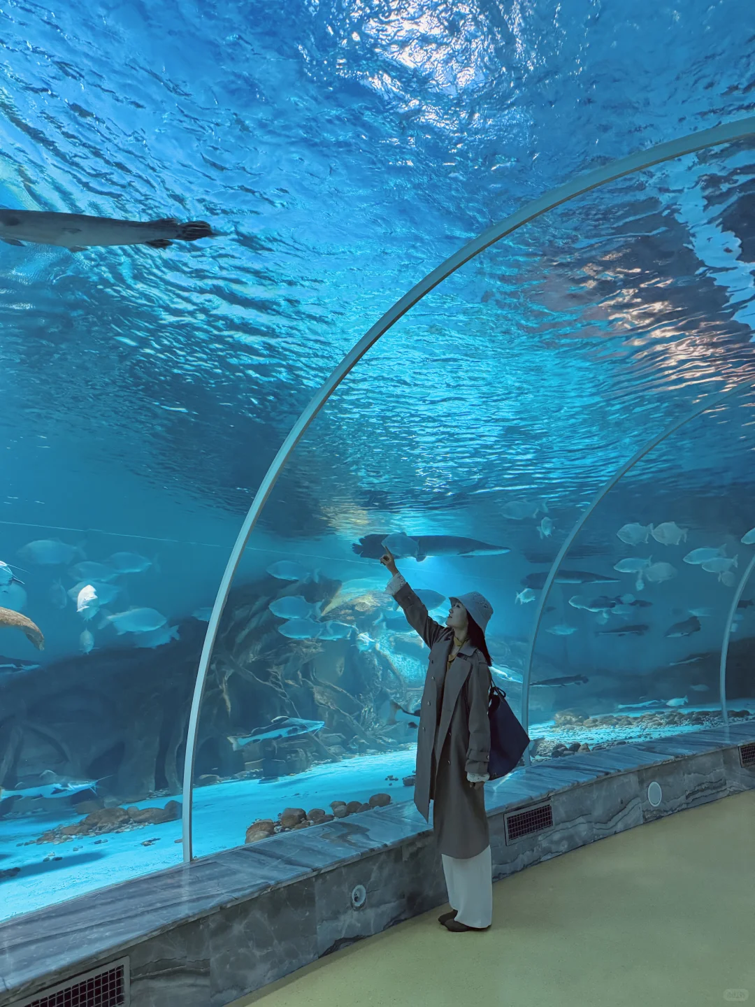 南京1.5h🚄徐州这个海底世界🐟🫧……封神了！！