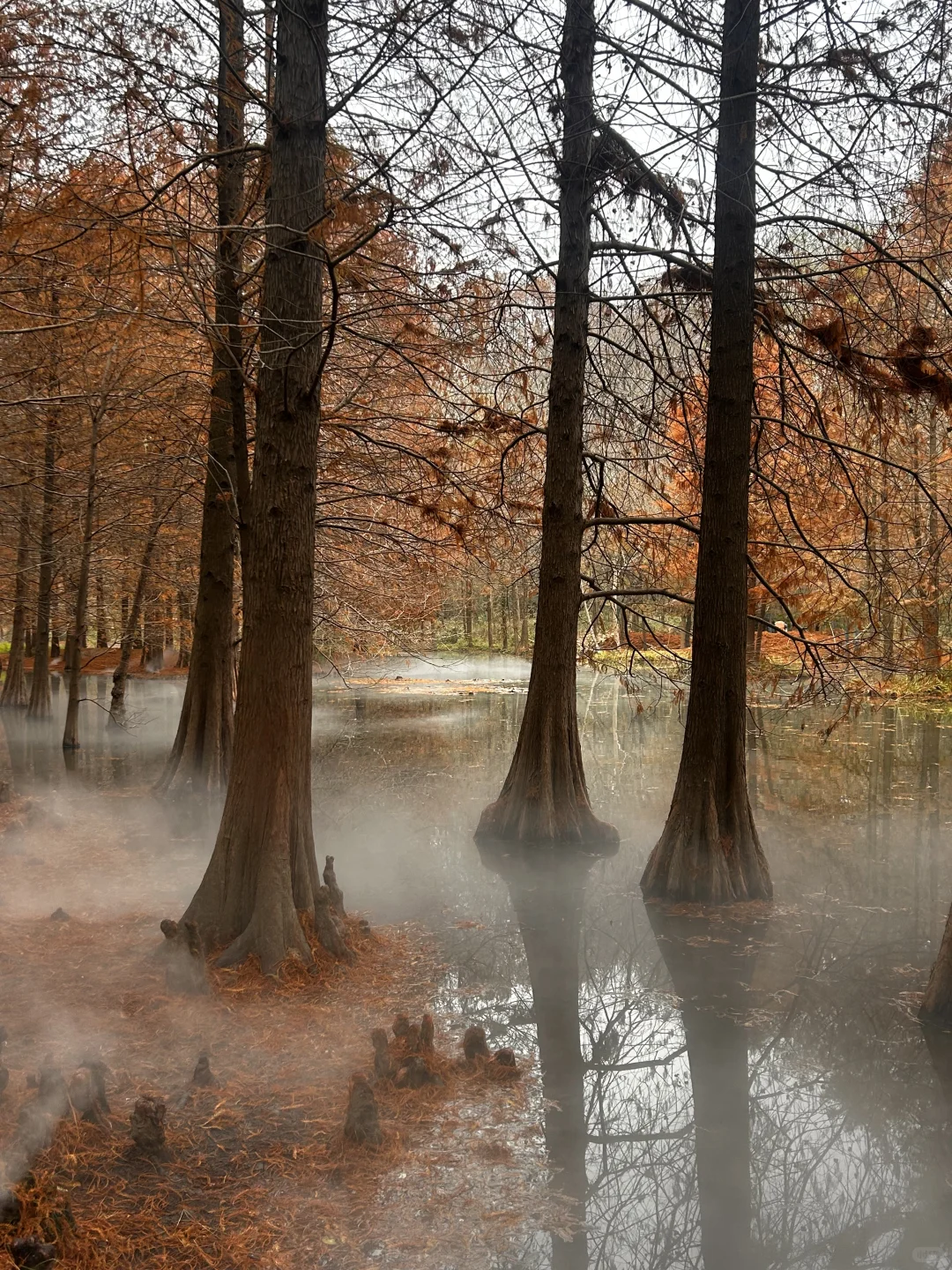 12.23 南京明孝陵