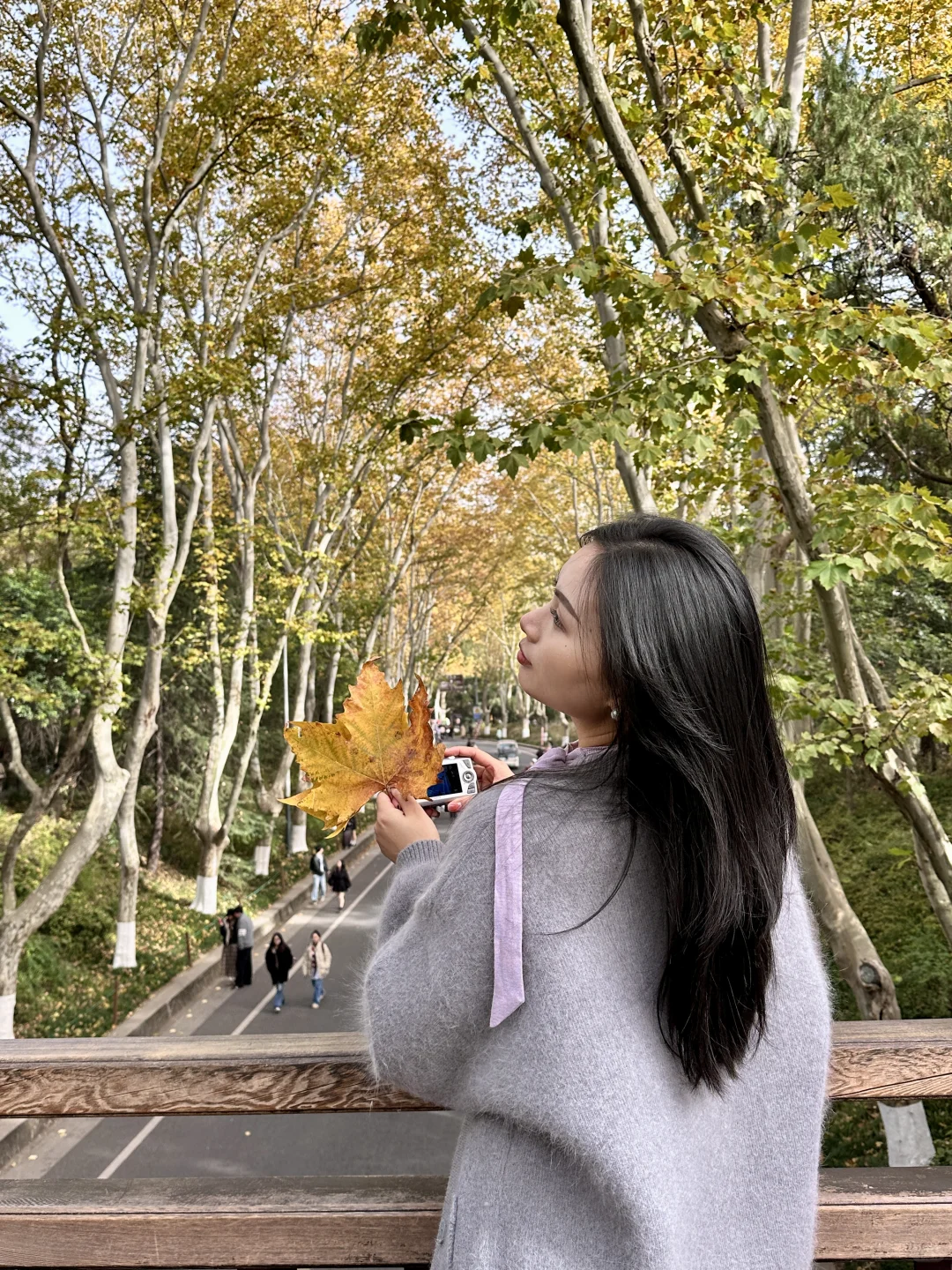 去完这6个地方！！！再离开秋冬的南京𓍊🌰🐿️