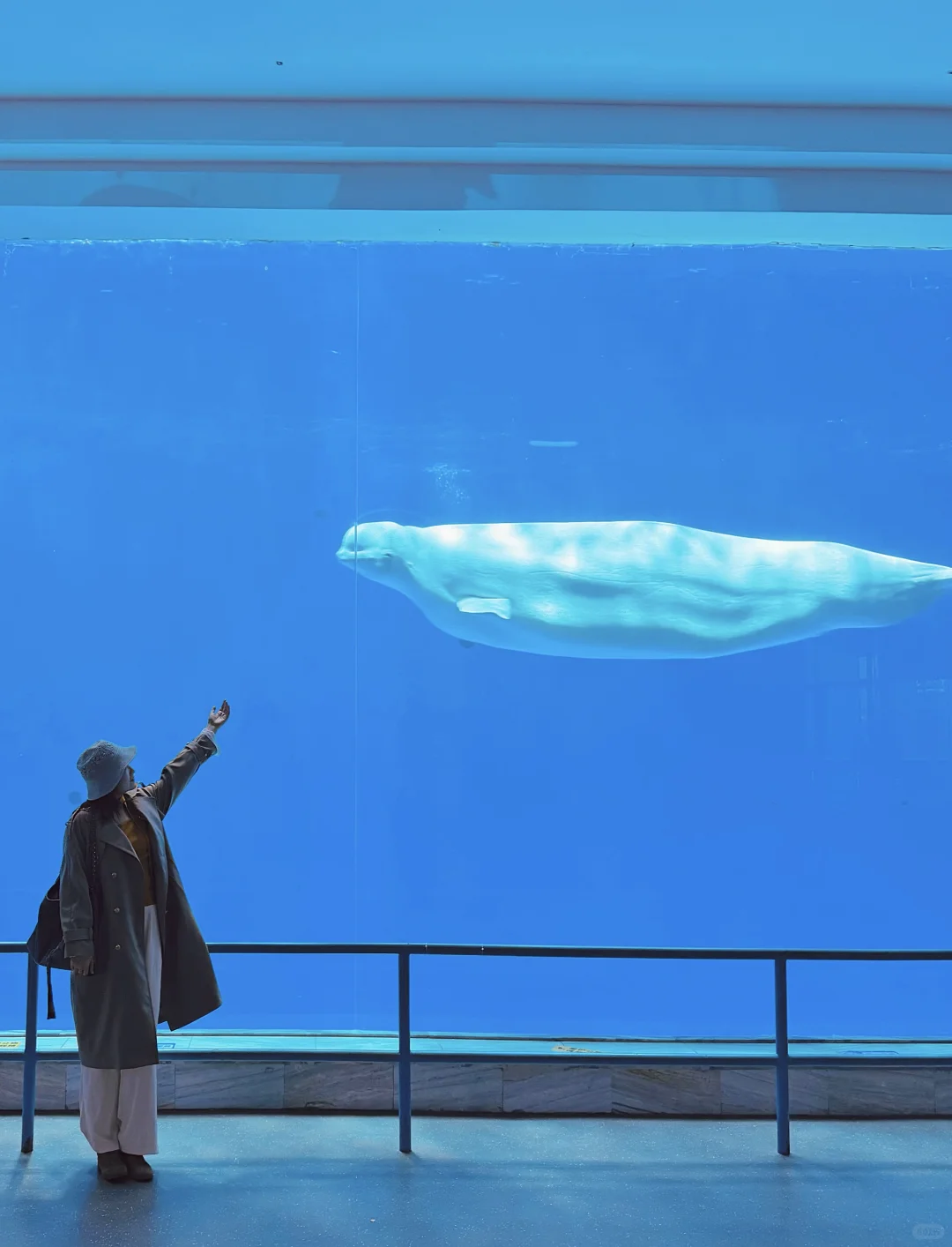 南京1.5h🚄徐州这个海底世界🐟🫧……封神了！！