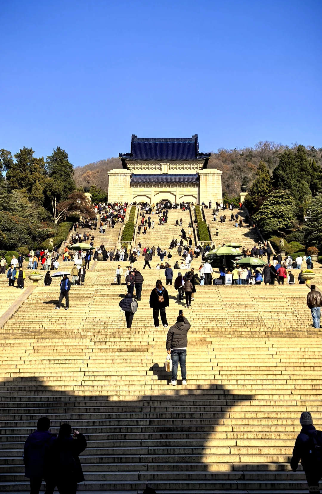 冬季的南京🍁好美