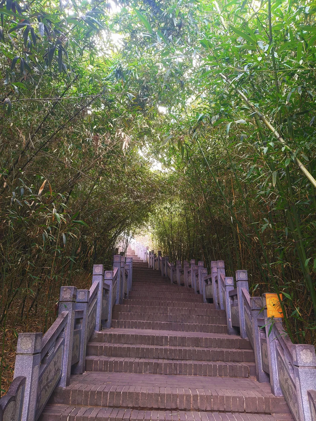 徐州公益｜🎋竹林寺做义工🎍